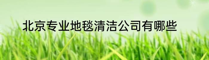 北京专业地毯清洁公司有哪些