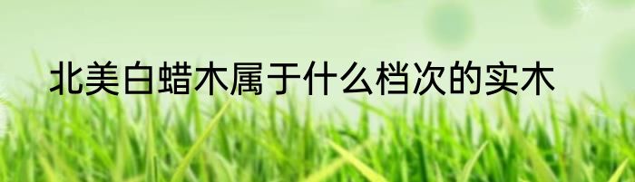 北美白蜡木属于什么档次的实木