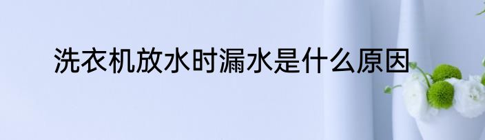 洗衣机放水时漏水是什么原因