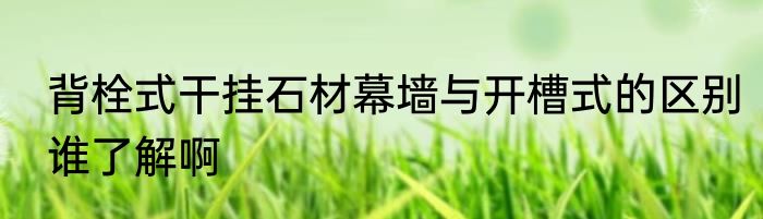 背栓式干挂石材幕墙与开槽式的区别谁了解啊