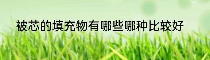 被芯的填充物有哪些哪种比较好
