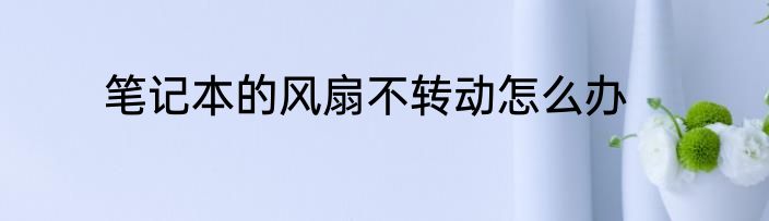 笔记本的风扇不转动怎么办