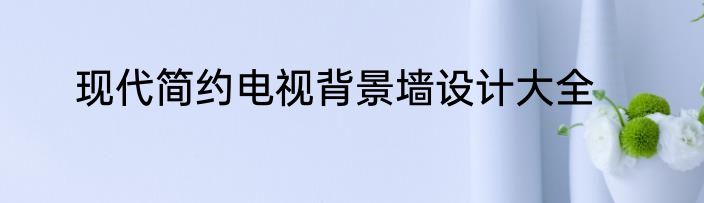 现代简约电视背景墙设计大全