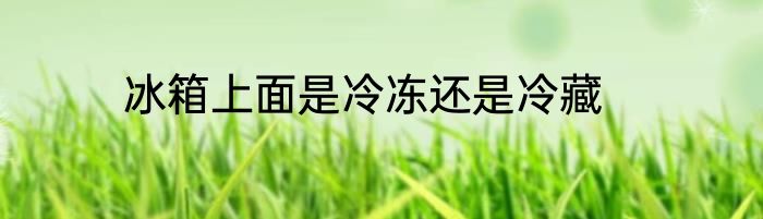 冰箱上面是冷冻还是冷藏