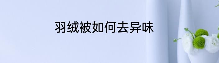 羽绒被如何去异味