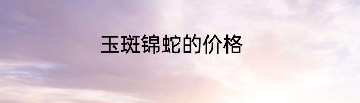 玉斑锦蛇的价格