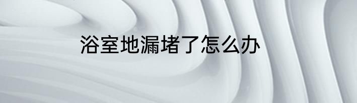 浴室地漏堵了怎么办