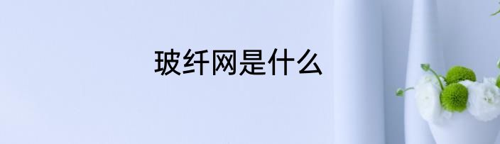 玻纤网是什么