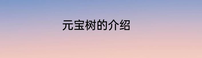 元宝树的介绍