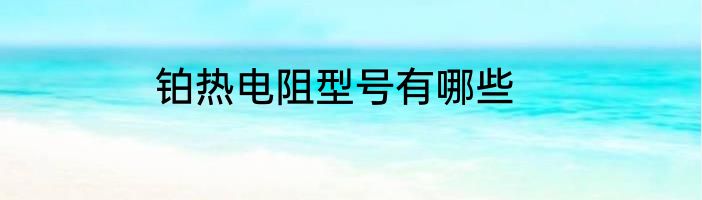 铂热电阻型号有哪些