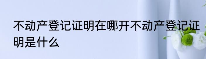 不动产登记证明在哪开不动产登记证明是什么