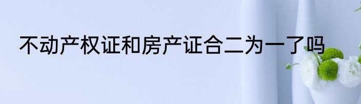 不动产权证和房产证合二为一了吗