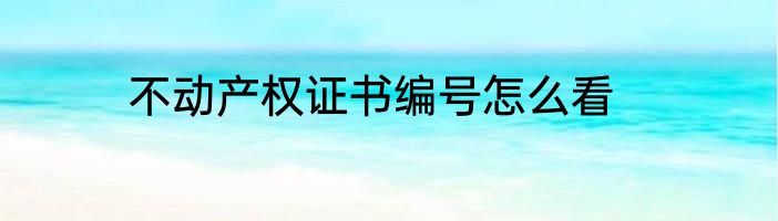 不动产权证书编号怎么看