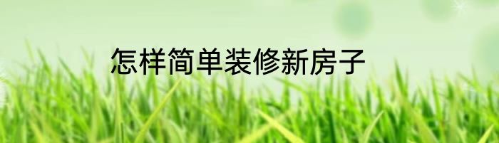 怎样简单装修新房子
