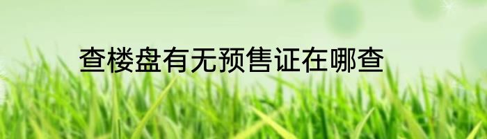 查楼盘有无预售证在哪查
