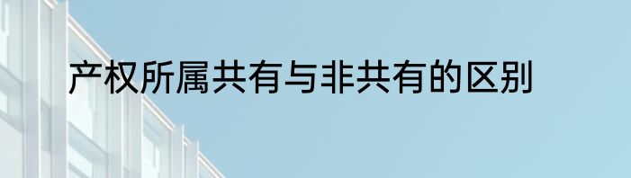 产权所属共有与非共有的区别