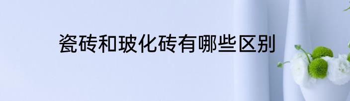 瓷砖和玻化砖有哪些区别