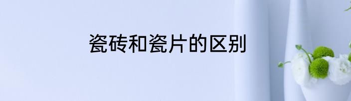 瓷砖和瓷片的区别