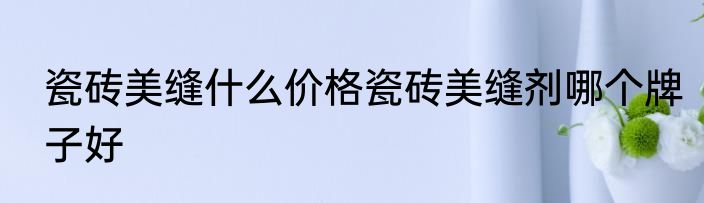 瓷砖美缝什么价格瓷砖美缝剂哪个牌子好
