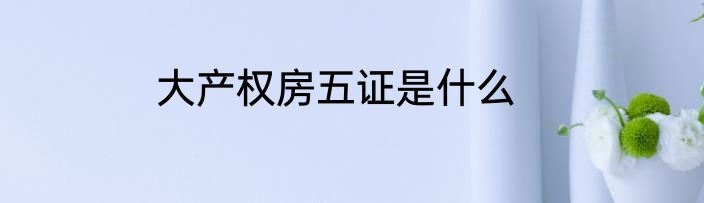 大产权房五证是什么