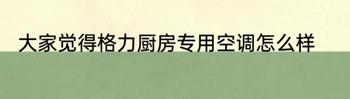 大家觉得格力厨房专用空调怎么样