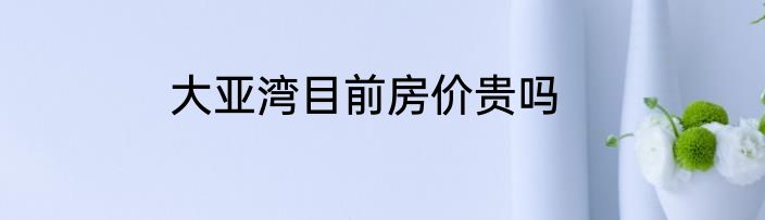 大亚湾目前房价贵吗