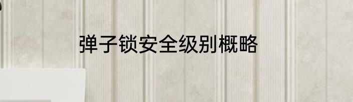 弹子锁安全级别概略