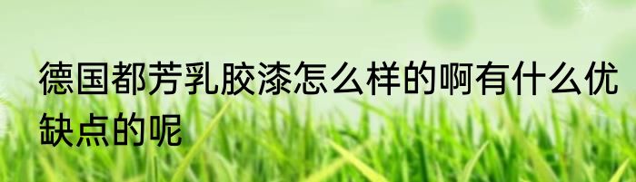 德国都芳乳胶漆怎么样的啊有什么优缺点的呢