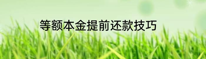 等额本金提前还款技巧