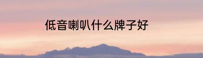低音喇叭什么牌子好
