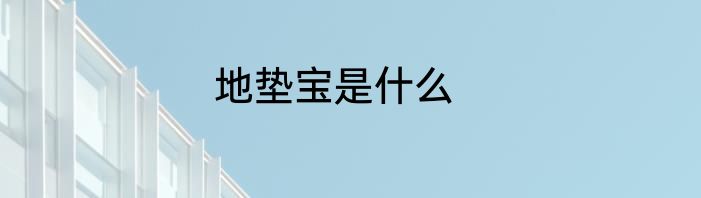 地垫宝是什么