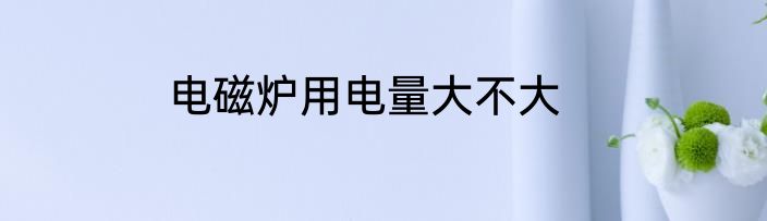 电磁炉用电量大不大