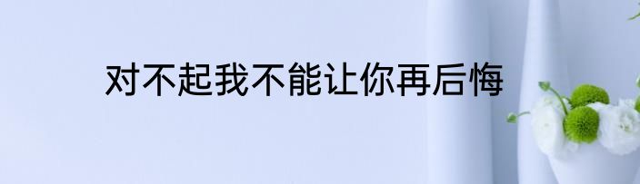 对不起我不能让你再后悔