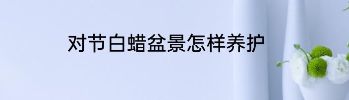 对节白蜡盆景怎样养护