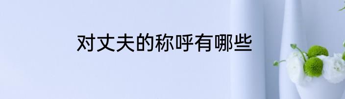 对丈夫的称呼有哪些