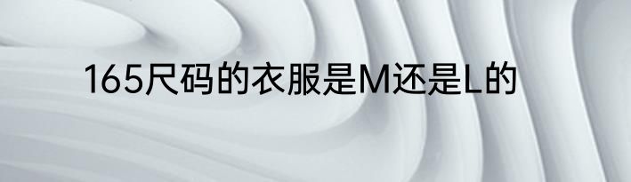 165尺码的衣服是M还是L的