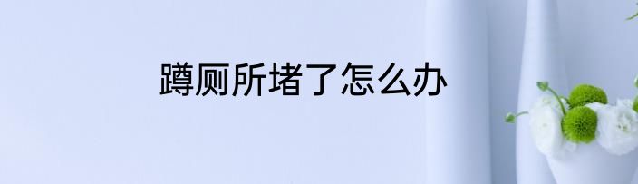 蹲厕所堵了怎么办