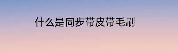 什么是同步带皮带毛刷