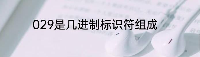 029是几进制标识符组成