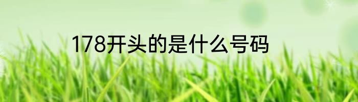 178开头的是什么号码
