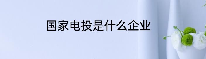 国家电投是什么企业