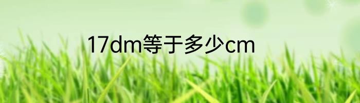 17dm等于多少cm