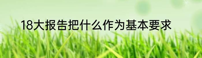 18大报告把什么作为基本要求