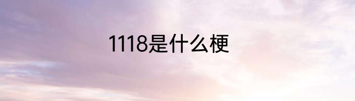 1118是什么梗