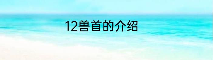12兽首的介绍