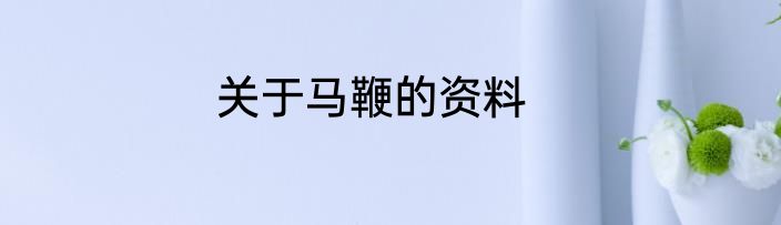 关于马鞭的资料