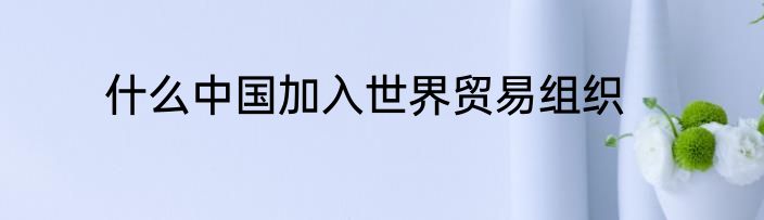 什么中国加入世界贸易组织