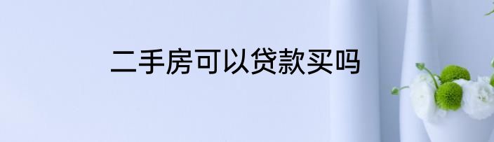 二手房可以贷款买吗