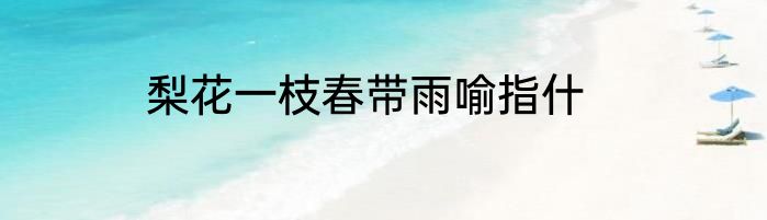 梨花一枝春带雨喻指什