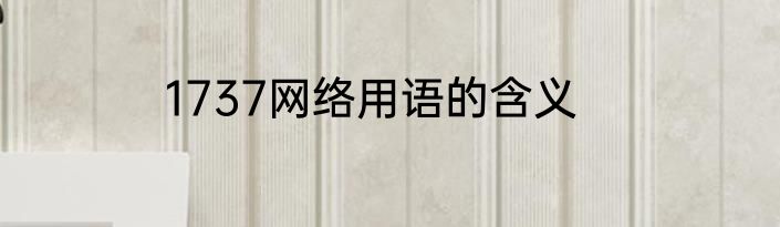 1737网络用语的含义